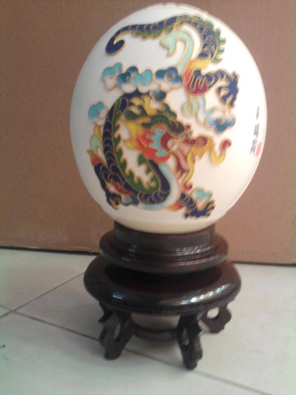 供應(yīng)惠州鴕鳥蛋鴕鳥蛋