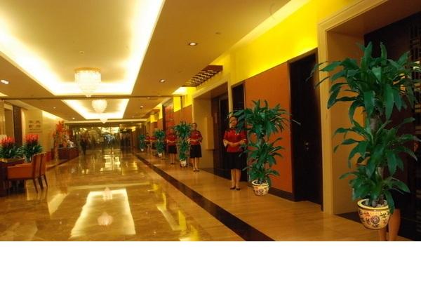 供應花卉綠植出租