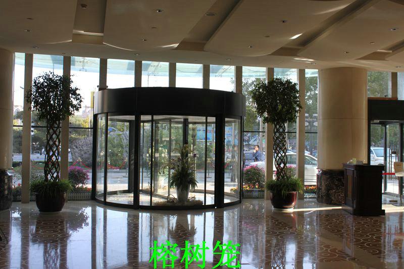 供應(yīng)辦公室*綠植