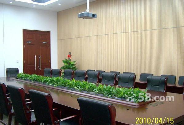 供應花卉綠植出租