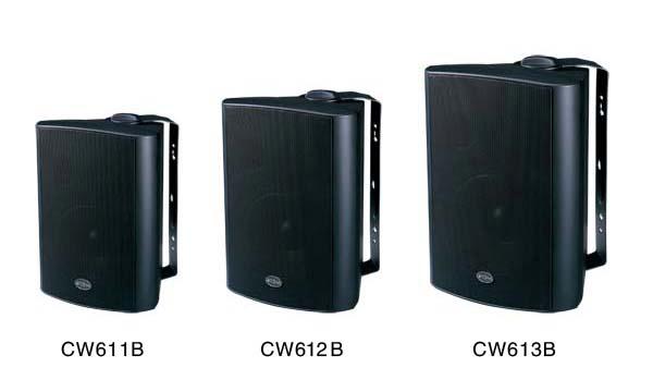 CW611壁掛音箱圖片