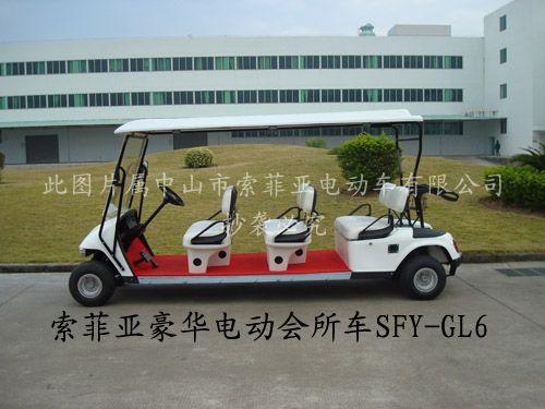 供應(yīng)索菲亞電動(dòng)高爾夫球車、高爾夫球車、電動(dòng)看樓車、觀光車