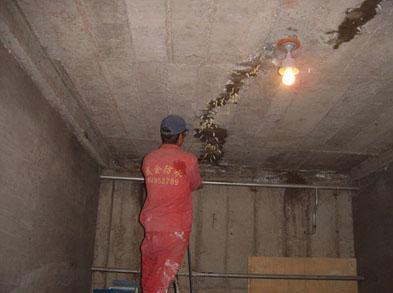 供應(yīng)東莞為民防水補(bǔ)漏橋頭