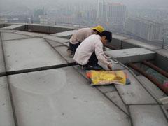 供應東莞市沙田鎮(zhèn)防水補漏