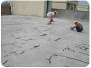 供應(yīng)樓面外墻補(bǔ)漏房頂隔熱為民防水補(bǔ)漏