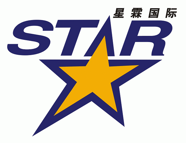 深圳市星霖国际货运代理有限公司