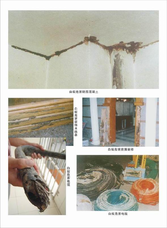 東莞橫瀝防水補漏公司圖片/東莞橫瀝防水補漏公司樣板圖 (2)