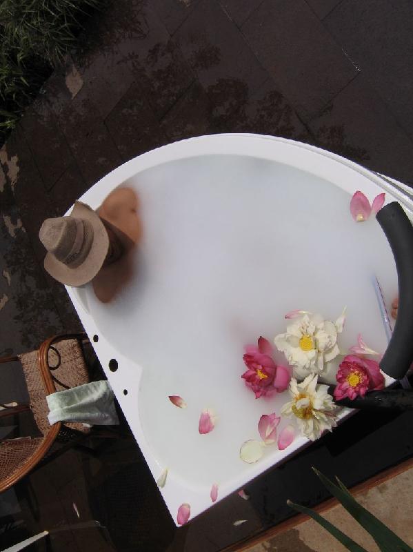 水療型納米牛奶浴機(jī)廠家圖片