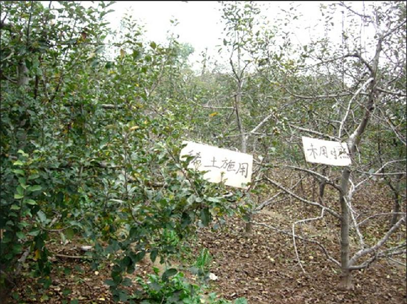 供應(yīng)稀土果紅靈葉面肥，稀土果紅靈葉面肥價(jià)格，稀土果紅靈葉面肥批發(fā)