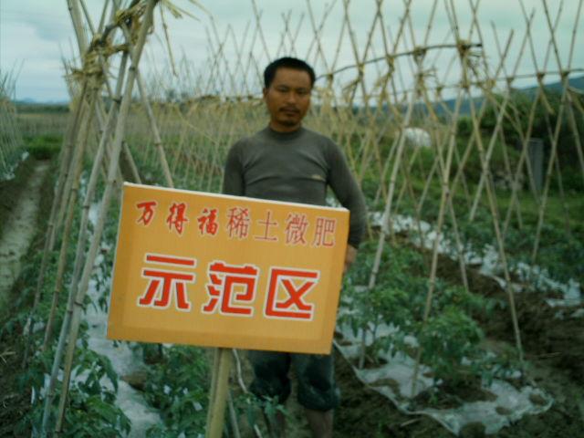 供應(yīng)稀土果紅靈葉面肥，稀土果紅靈葉面肥價(jià)格，稀土果紅靈葉面肥批發(fā)