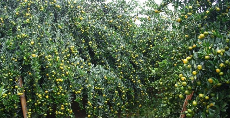 稀土?；ㄗ`圖片