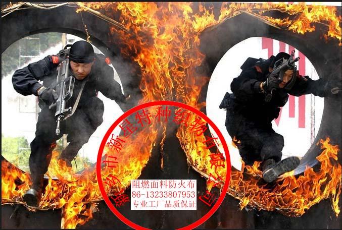 供應(yīng)迷彩抗油拒水面料/迷彩防油防水布