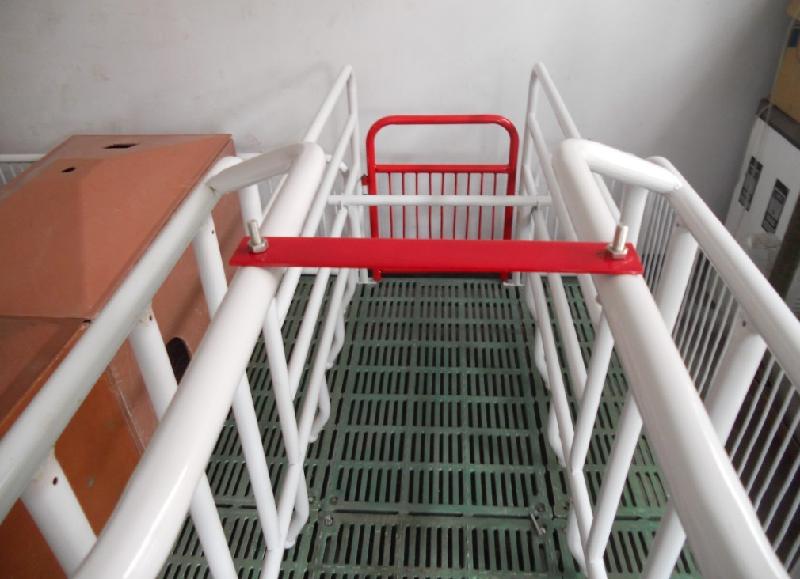 供應(yīng)河南母豬產(chǎn)床廠家直銷復(fù)合板母豬產(chǎn)床母豬產(chǎn)床價(jià)格