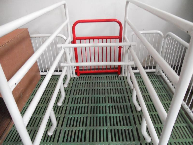 供應(yīng)母豬產(chǎn)床批發(fā)，河南母豬產(chǎn)床批發(fā)價(jià)格