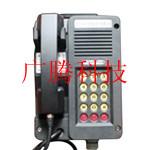 本質安全型防爆電話機圖片