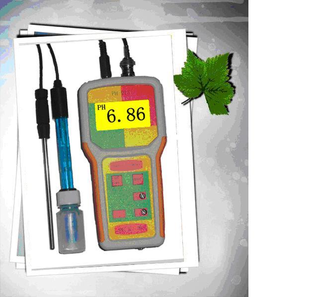 供應(yīng)酸度計 筆式酸度計 精密酸度計 3012酸度計 酸度計廠家