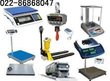 供應(yīng)天津哪里有賣(mài)電子稱