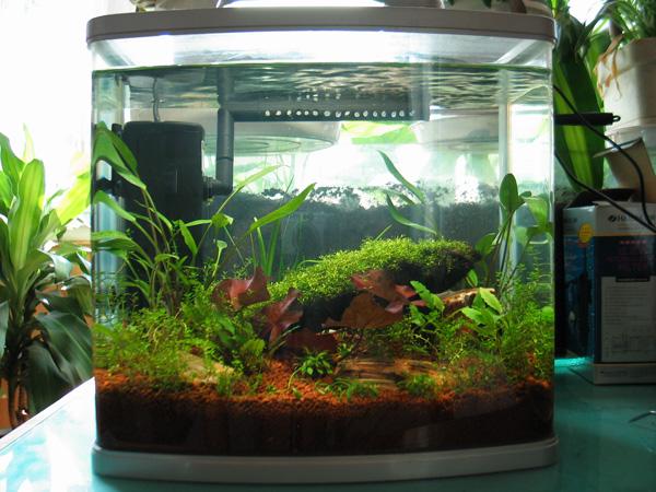 供應(yīng)白云清洗魚缸天河清洗辦公室魚缸