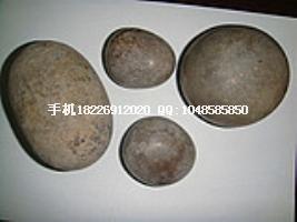 供應(yīng)蛇膽批發(fā)蛇鞭批發(fā)