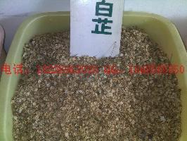 供應山慈菇批發(fā)射干種子批發(fā)