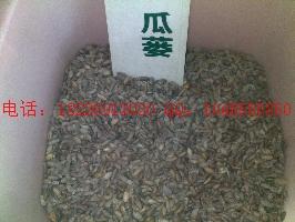 供應(yīng)青木香批發(fā)柴胡種子批發(fā)