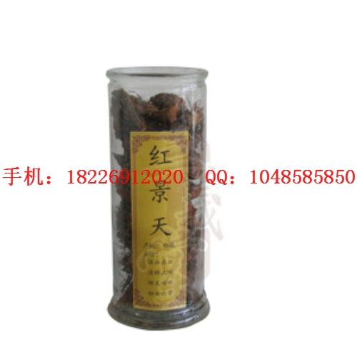供應肺形草批發(fā)紅景天批發(fā) 優(yōu)質(zhì)肺形草批發(fā)紅景天批發(fā)
