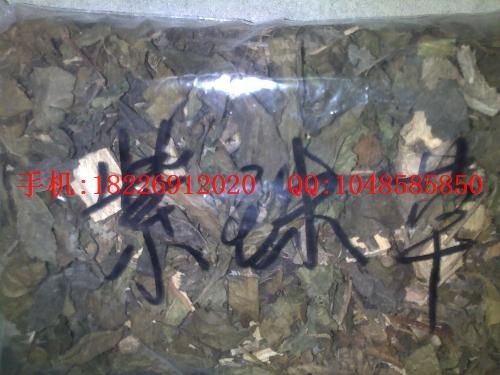 供應三百草根批發(fā)野薺菜根價格