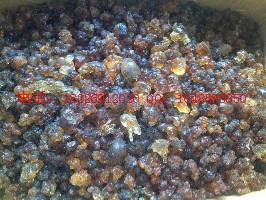 供應(yīng)人參果批發(fā)生草烏批發(fā)價(jià)格 優(yōu)質(zhì)人參果批發(fā)生草烏批發(fā)價(jià)格