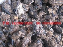 供應(yīng)馬陸批發(fā)馬寶批發(fā)