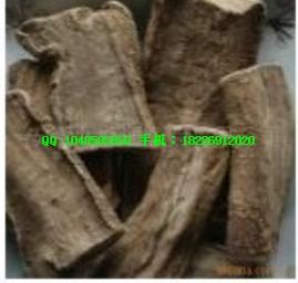 供應(yīng)黑老虎批發(fā)搜山虎批發(fā)價格