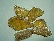 供應(yīng)馬齒莧批發(fā)野薺菜根批發(fā)