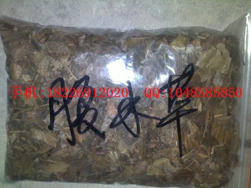 供應三百草根批發(fā)野薺菜根價格