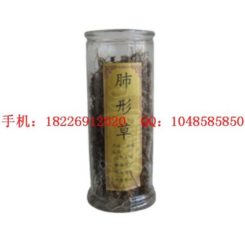 供應虎頭蕉批發(fā)金線蓮批發(fā)