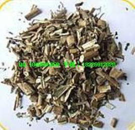 供應(yīng)黑老虎批發(fā)搜山虎批發(fā)價格