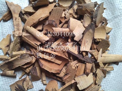 供應(yīng)馬齒莧批發(fā)野薺菜根批發(fā)