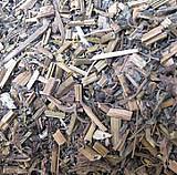 廣東優(yōu)質斷腸草價格斷腸草根批發(fā)圖片