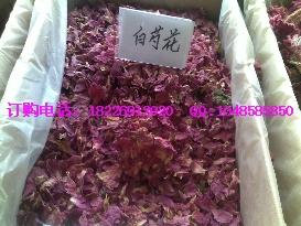 供應(yīng)馬藺子批發(fā)馬錢子批發(fā)價(jià)格