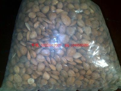 鷹嘴豆批發(fā)南燭子批發(fā)價(jià)格圖片