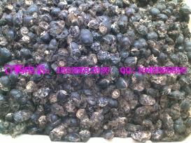 安徽優(yōu)質蜣螂價格供應廠家圖片圖片