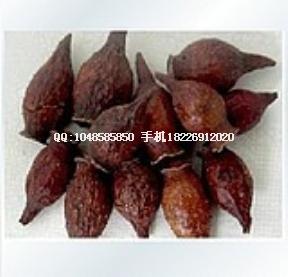 供應(yīng)白刀豆批發(fā)金櫻子批發(fā) 優(yōu)質(zhì)白刀豆，金櫻子批發(fā) 優(yōu)質(zhì)刺榆子，金櫻子批發(fā) 優(yōu)質(zhì)刺榆子，金櫻子，倒掛金鉤批發(fā)