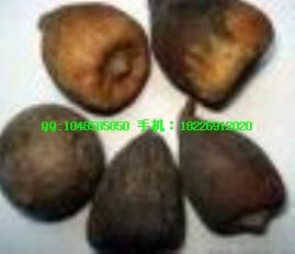 供應(yīng)鷹嘴豆批發(fā)南燭子批發(fā)價格