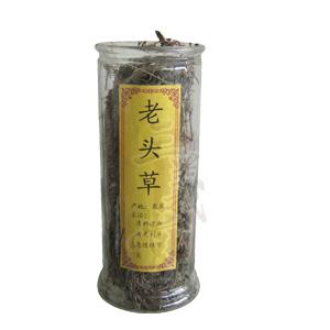 老頭草批發(fā)滿天星批發(fā)價(jià)格圖片