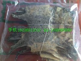 供應(yīng)海狗鞭價(jià)格批發(fā) 優(yōu)質(zhì)選貨海狗鞭價(jià)格