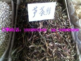 供應三百草根批發(fā)野薺菜根價格