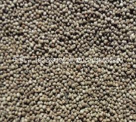 供應(yīng)旱半夏種子