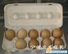 供應(yīng)山西安徽*蛋初產(chǎn)蛋紙漿雞蛋盒