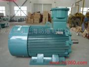 上海防爆電機YBD132M-4多速防爆型圖片