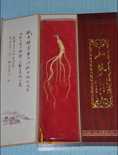 東北人參東北干參圖片