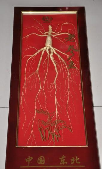 供應(yīng)東北長白山人參工藝參小參王（0.8米）