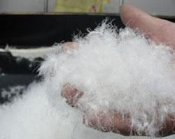 供應(yīng)各種規(guī)格水洗羽絨水洗羽毛